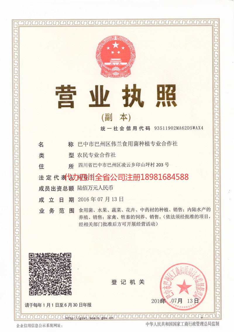 沧州沧州伟兰食用菌种植专业合作社